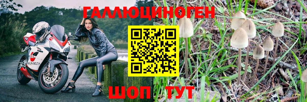Псилоцибиновые грибы GOLDEN TEACHER Красный Сулин