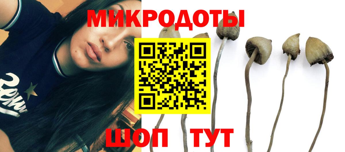 Красный Сулин  Псилоцибиновые грибы мицелий  Вход с VPN  Псилоцибиновые грибы Magic Shrooms 
